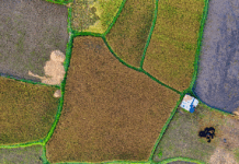 Program kompenzacijske mjere potpore depopuliranim područjima za 2025. godinu