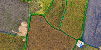 Program kompenzacijske mjere potpore depopuliranim područjima za 2025. godinu