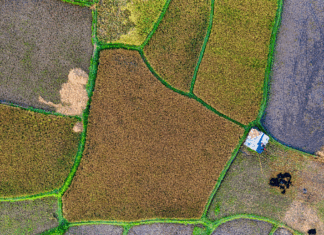 Program kompenzacijske mjere potpore depopuliranim područjima za 2025. godinu