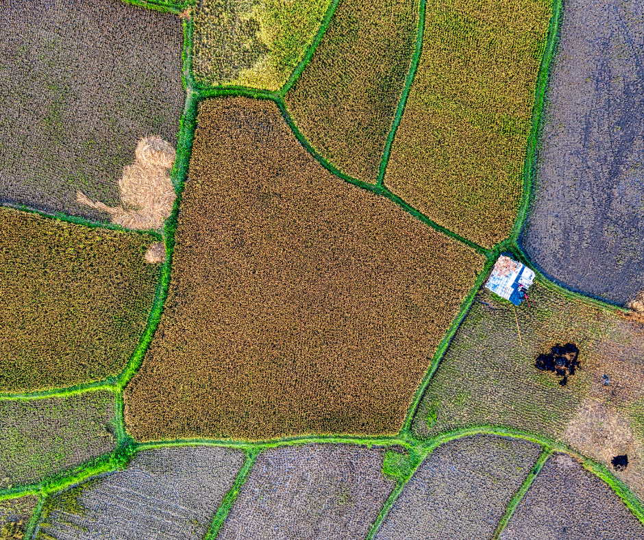 Add a little bit of body text - 2025-11-13T103838.630