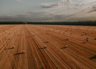 4. LAG NATJEČAJ ZA PROVEDBU INTERVENCIJE A “Ulaganja u rast poljoprivrednih gospodarstava“