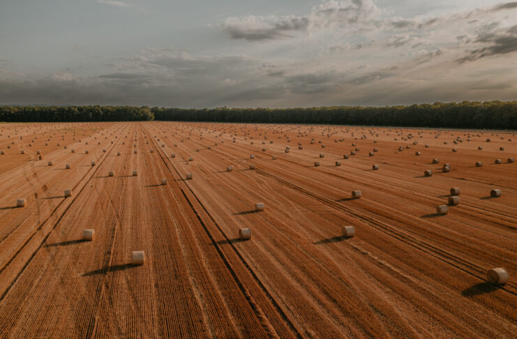 4. LAG NATJEČAJ ZA PROVEDBU INTERVENCIJE A “Ulaganja u rast poljoprivrednih gospodarstava“
