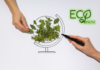 Objavljen drugi newsletter projekta ECOPATH